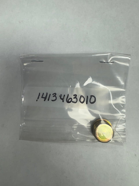 Bosch Screw Plug (BOS1413463010)