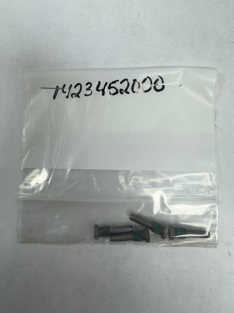 Bosch Screw (BOS1423452000)