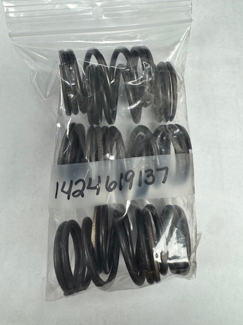 Bosch Spring (BOS1424619137)