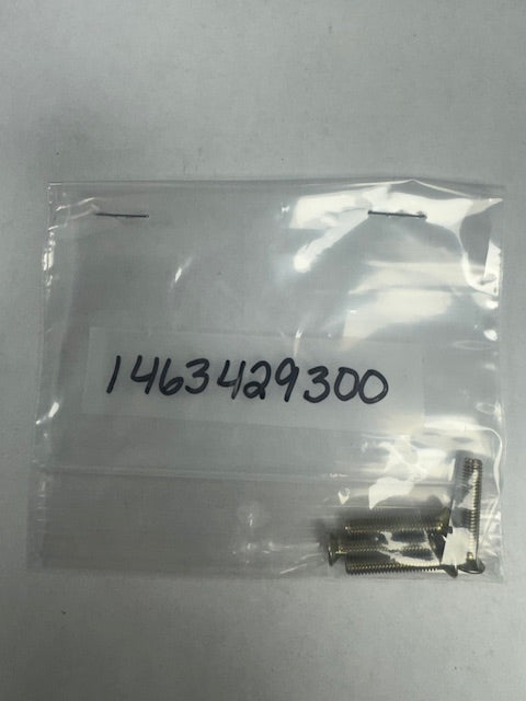 Bosch Screw (BOS1463429300)