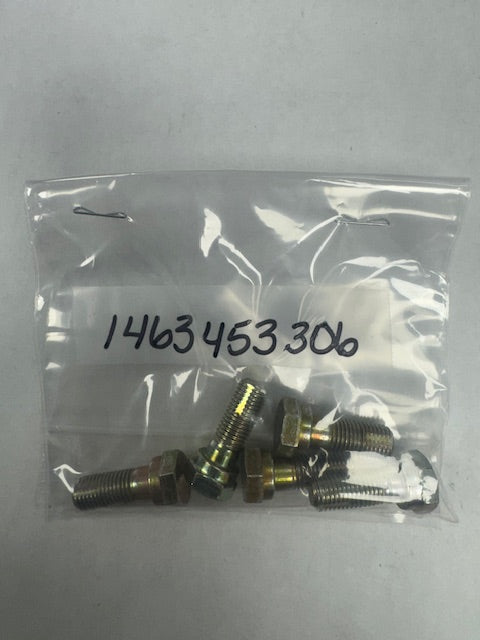 Bosch Screw (BOS1463453306)