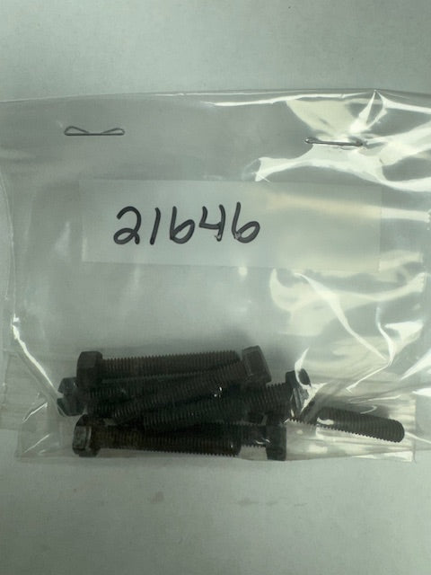 Stanadyne Screw (STA21646)