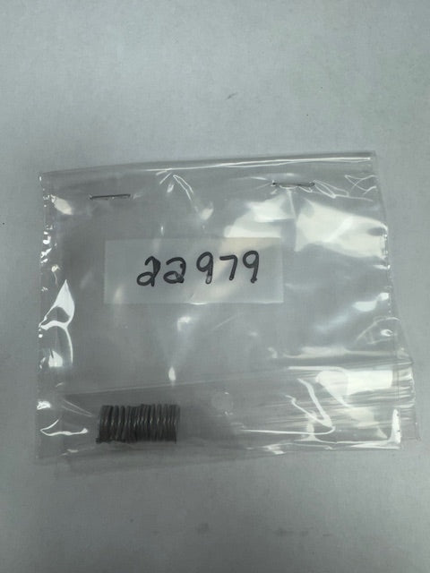 Stanadyne Idle Spring (STA22979)