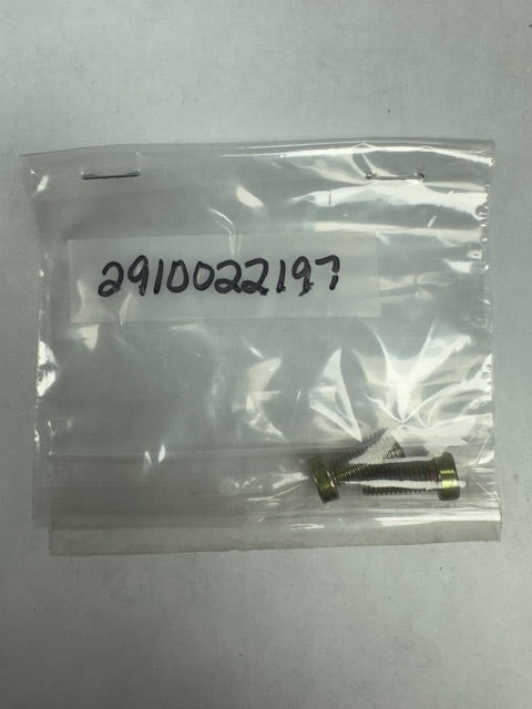 Bosch Screw (BOS2910022197)