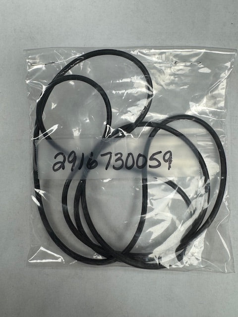 Bosch O-ring (BOS2916730059)