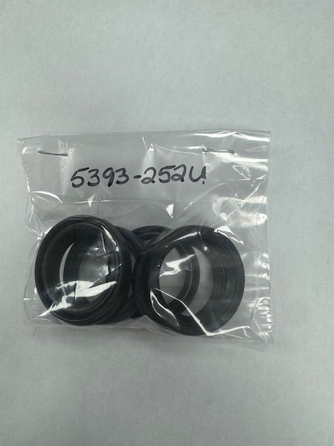 Delphi Lip Seal (DEL5393-252U)