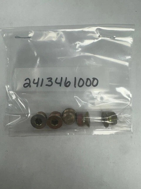 Bosch Screw (BOS2413461000)