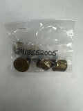 Bosch Delivery Valve (BOS2418552005)