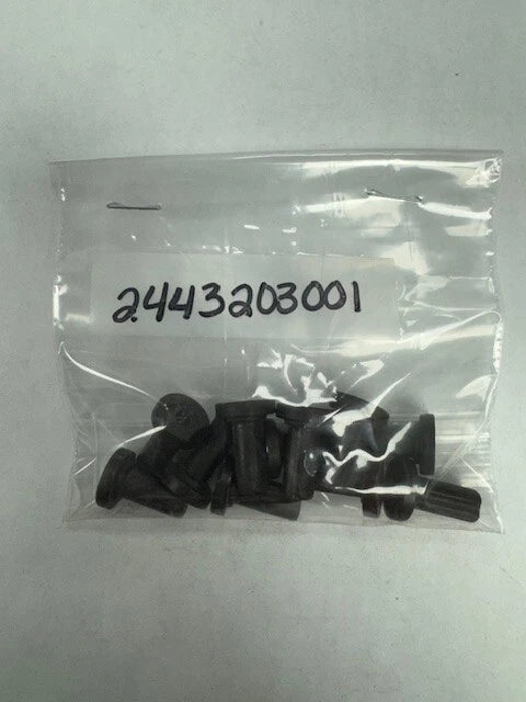 Bosch Valve (BOS2443203001)