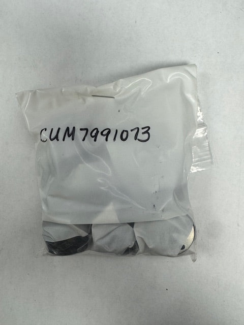 Cummins Plunger and Barrel (CUM7991073)