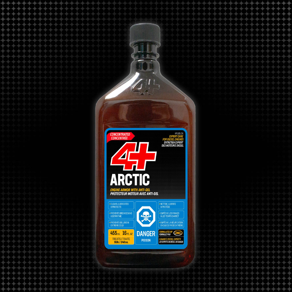 4+ Arctic